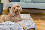 Lounger Pet Bed in Sapphire Spaniel.